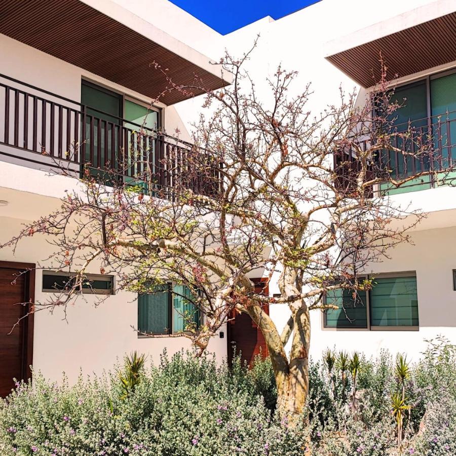 Costa Azul Sunnyadventuretravel Apartment La Paz Exterior photo